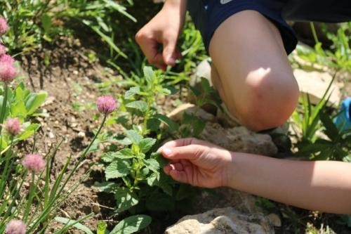 Kinder die Blumen genauer anschauen