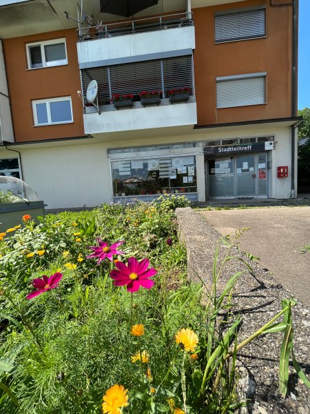 Eine Wiese mit Blumen